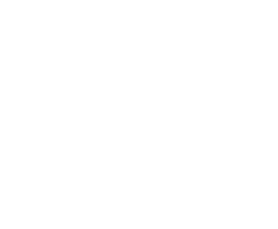 Set Pace Holdings